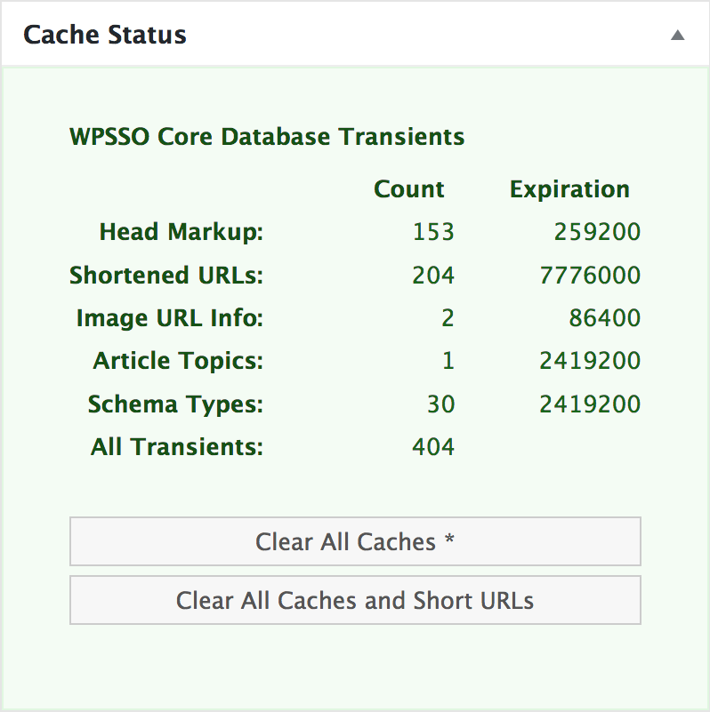 The Cache Status metabox added in WPSSO Core v3.48.0